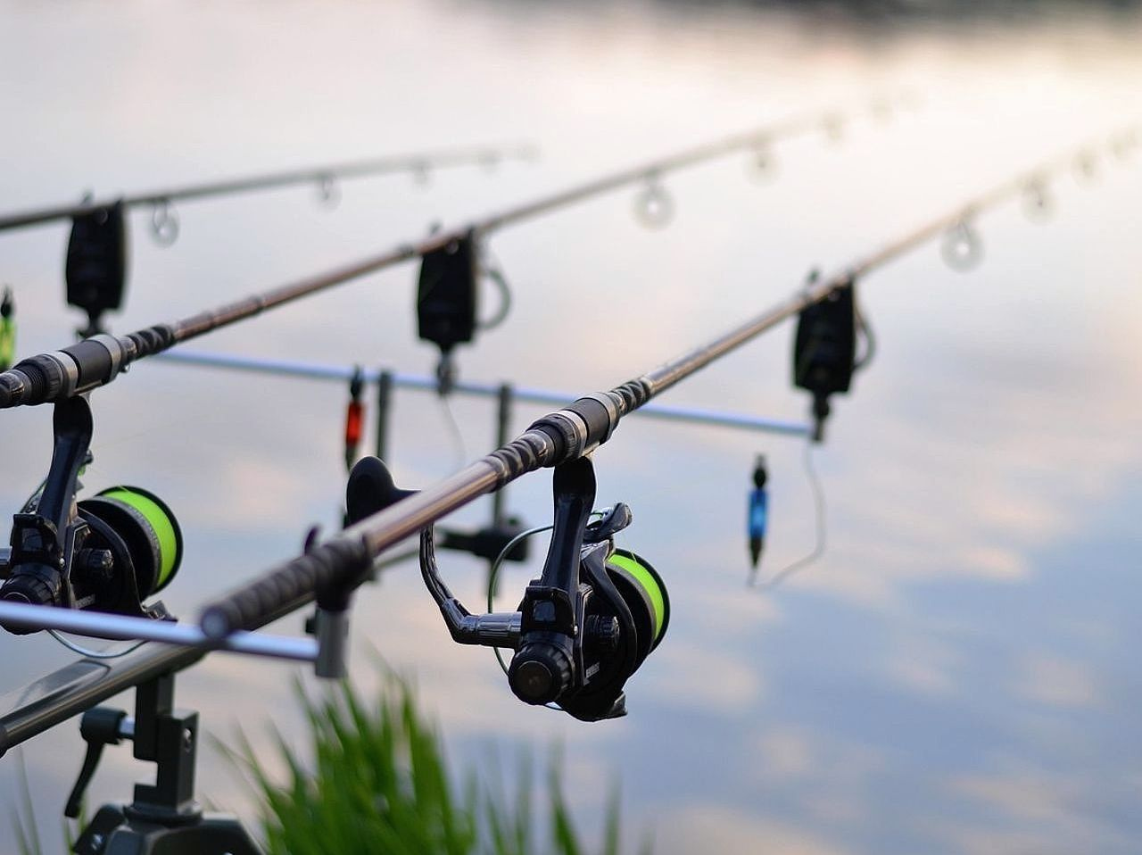 Peso del carrete de pesca